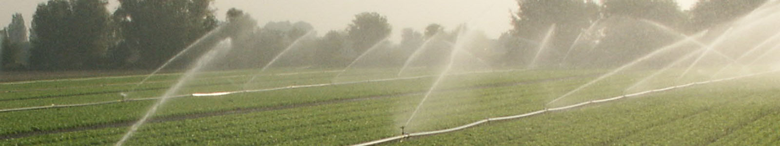 Bewässerung im Gemüsefeld ©DLR